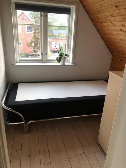 Hyggeligt Byhus Taet Ved Skov Og Togstation Ålbæk 외부 사진
